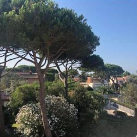 Appartamento Signorile, Luminosissima Vista Mare Fregenae Esterno foto