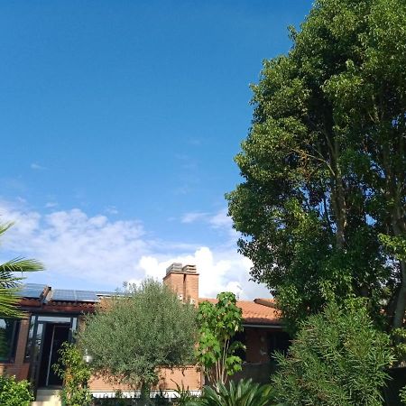 Appartamento Signorile, Luminosissima Vista Mare Fregenae Esterno foto