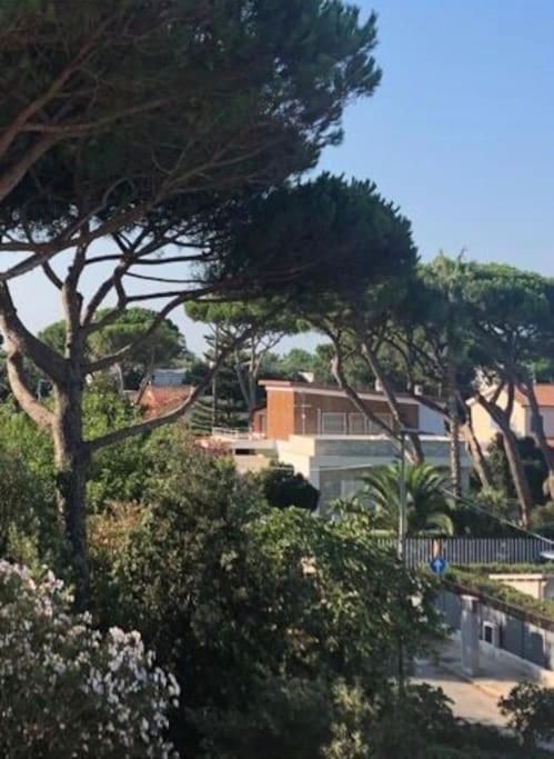 Appartamento Signorile, Luminosissima Vista Mare Fregenae Esterno foto