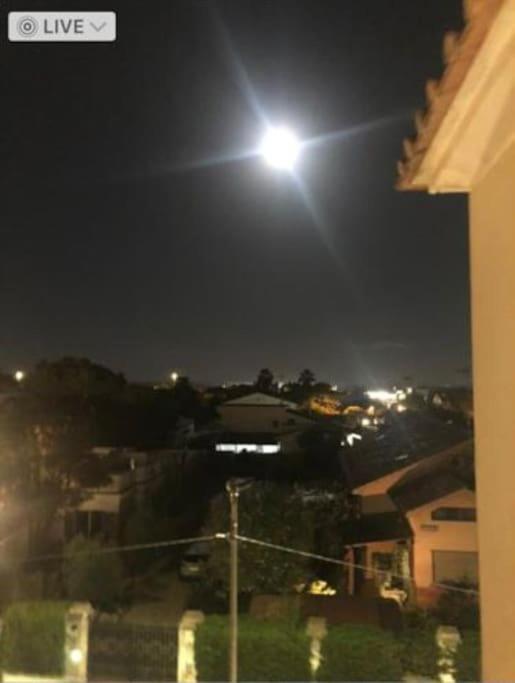 Appartamento Signorile, Luminosissima Vista Mare Fregenae Esterno foto