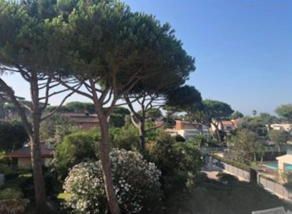 Appartamento Signorile, Luminosissima Vista Mare Fregenae Esterno foto