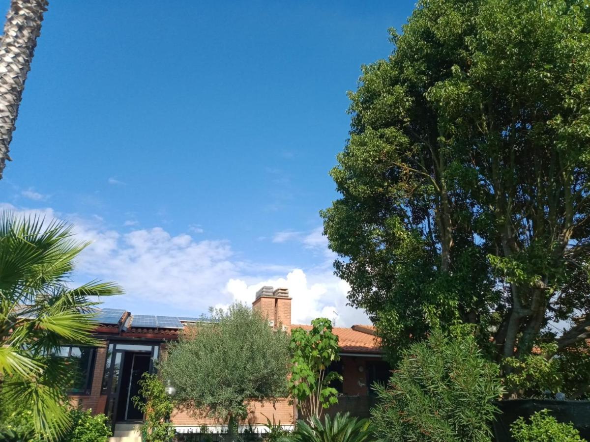 Appartamento Signorile, Luminosissima Vista Mare Fregenae Esterno foto